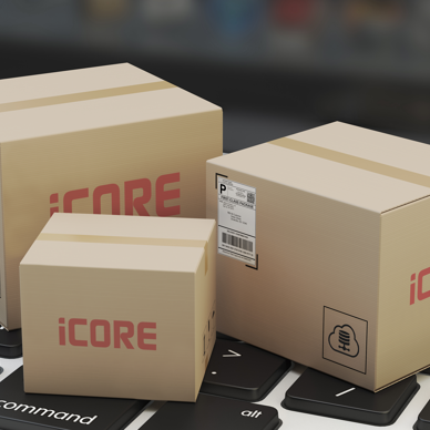 iCore_boxes 1.png